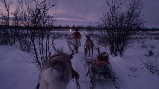 All Aboard! The Sleigh Ride: Preview - BBC