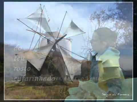 Alfredo Duarte Júnior