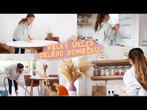 VLOG | VELKÝ ÚKLID CELÉHO DOMEČKU