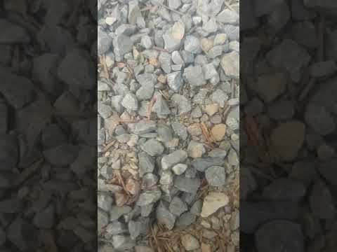 HardCore Mrav - zovi čovika. 🤣🤣