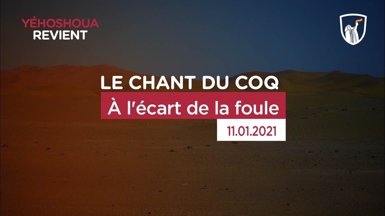 Thumbnail of video: À l'écart de la foule