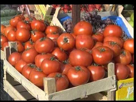 Rekonstrukcija pijaca