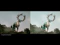 Power Rangers Wild Force Princess Shayla Sings To Deer Zord Split Screen PR And Sentai Version