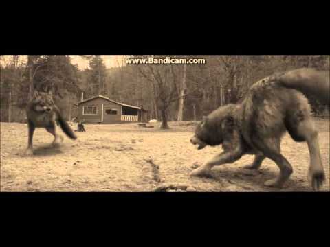 Twilight Wolves - Shatter me(Lindsey Stirling ft Lzzy Hale)