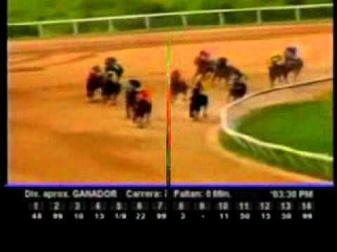 Resumen Viernes, 17 de Septiembre de 2010 - Valencia