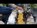 Video Thumbnail for From lake to plate!..insane pike bite