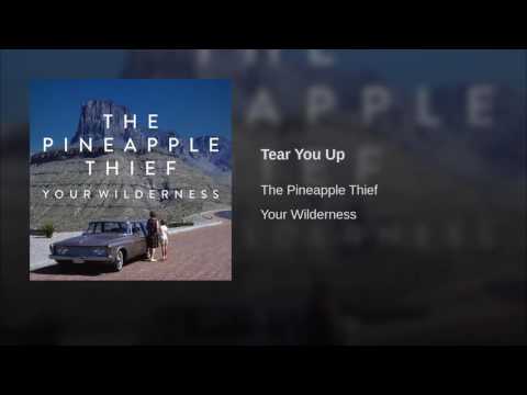 The Pineapple Thief