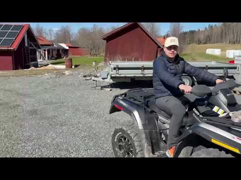 Videoklipp