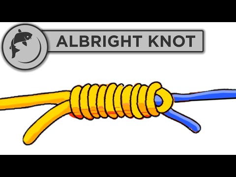 Albright-Knoten