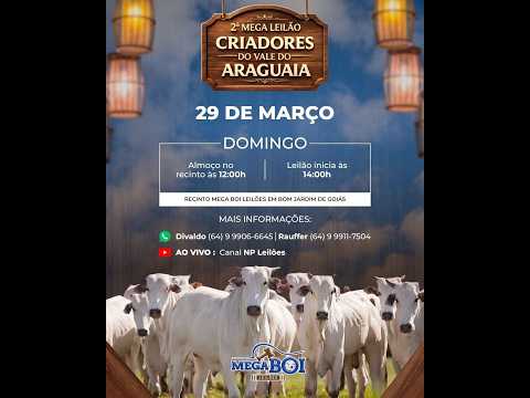 MEGA BOI LEILÕES - BOM JARDIM DE GOIÁS 29/03/2026