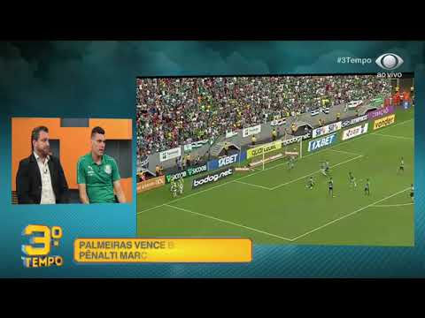 Melhores momentos: Botafogo 0 X 1 Palmeiras