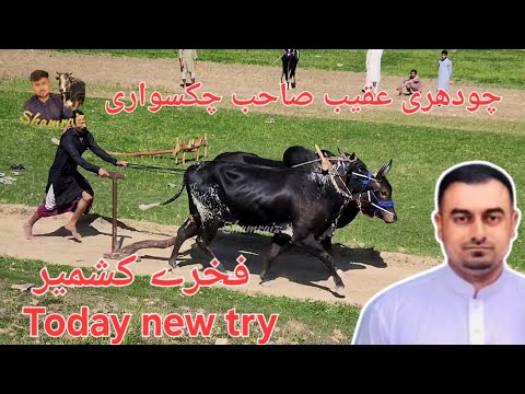 dand fakhry kashmir | new try today | ch aqeeb shab chakswari