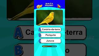 Qual é o nome desses pássaros? #quiz #passaros