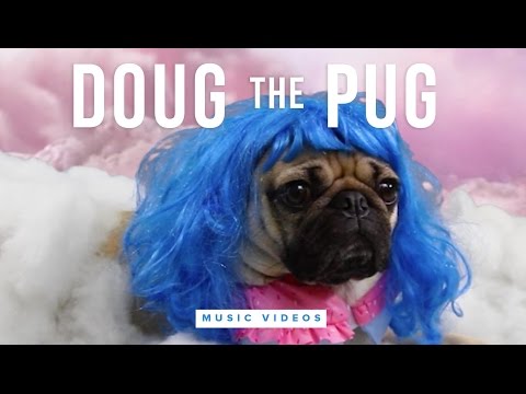 Doug the Pug Music Video Compilation