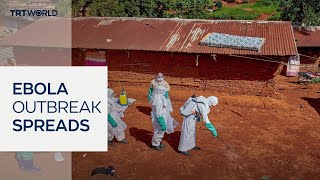 WHO confirms 220 Ebola deaths in DRC; outbreak spreads to Uganda