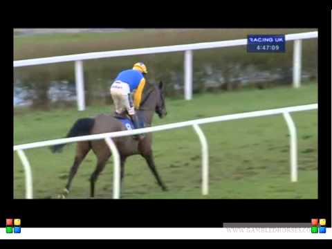 one of the strangest races of 2015