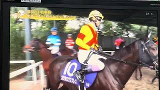【本場馬入場実況】第30回秋華賞G1