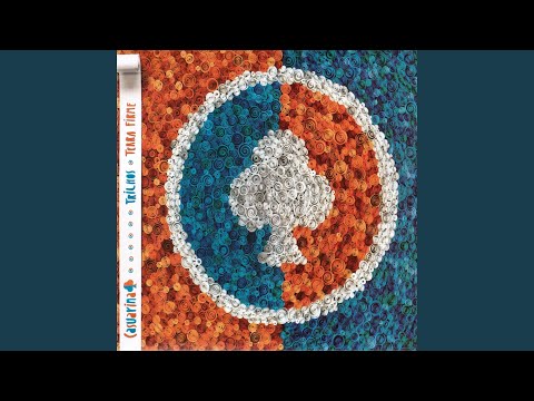 Fulô De Caju - Casuarina