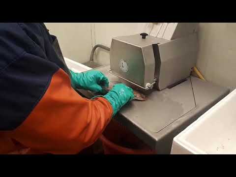 Yüzgeç-Kuyruk ve Kafa Kesici