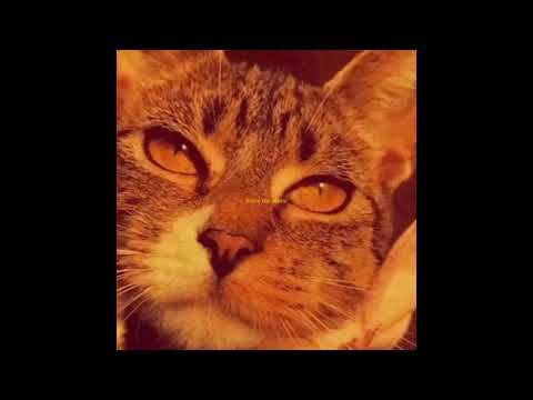 [FREE] Joji x Trippie Redd Type Beat - "Sunflower" (prod. jang0)