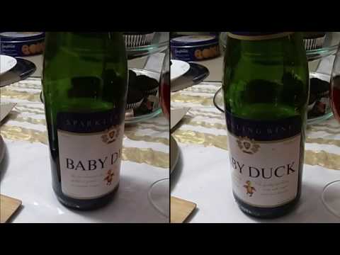 download lagu mp3 mp4 Baby Duck Champagne, download lagu Baby Duck Champagne gratis, unduh video klip Baby Duck Champagne
