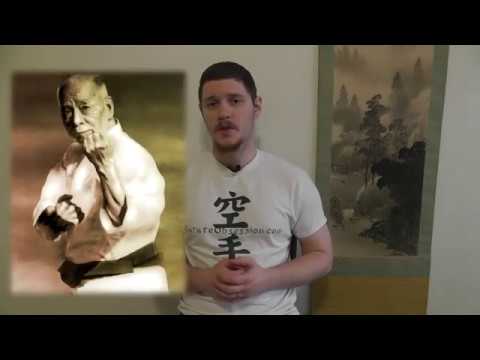 Changing Kata and the Evolution of Karate