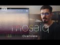 Video 2: Overview