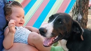 Adorable Toddler Laughing while Dog Kissing her