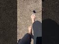Donut Crush POV Barefoot Giantess MadameVanessaCrush Early Video