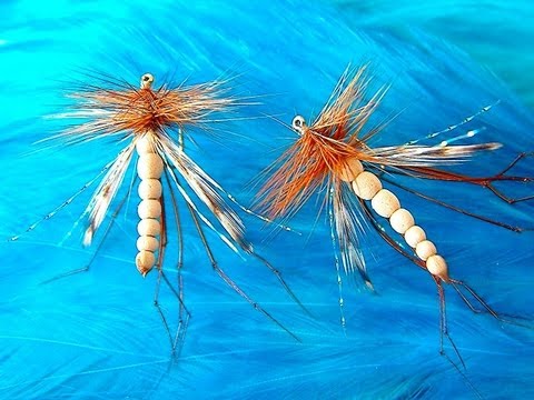 Tying the Daddy Long Legs (Detached Body) by Davie McPhail