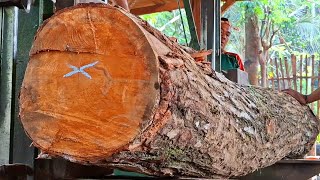 curved stumps are troublesome when sawed at the sawmill
