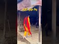 Village Vlog Village Vlogger Village Vlogger Girl Pakistani Village Vlogger Girl