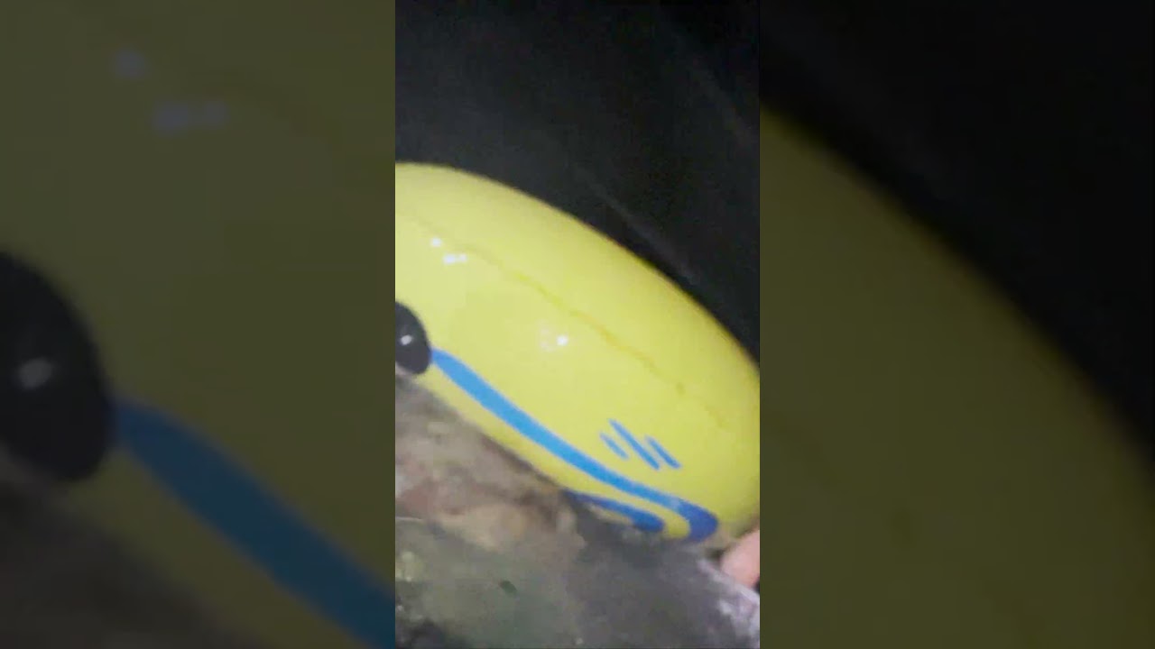 ЧАЯ, КАКТУСА И ДРУМЕВ НА АКВАПАРК