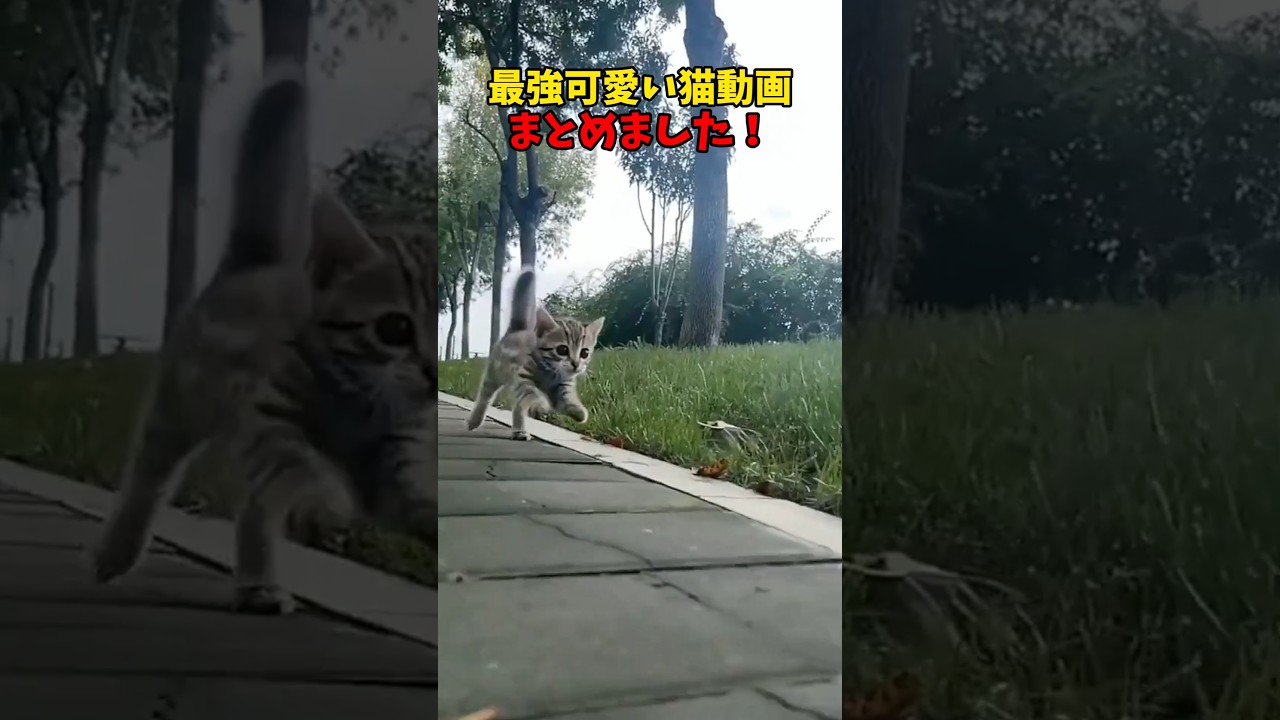 最強だああああ♥