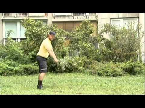 As ti tud not padu poklic poštar