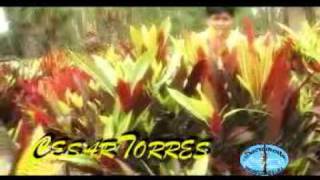 cesar torres - cuando un amor se va.avi