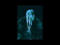 FREE PlaqueBoyMax X Destroy Lonely Type Beat Keep It Real