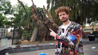 El árbol de la NOCHE TRISTE: la historia mexicana que está desapareciendo 🇲🇽🌳