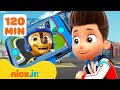 Ryder Calls PAW Patrol Pups To The Lookout Tower 14 W Chase 120 Minutes Nick Jr