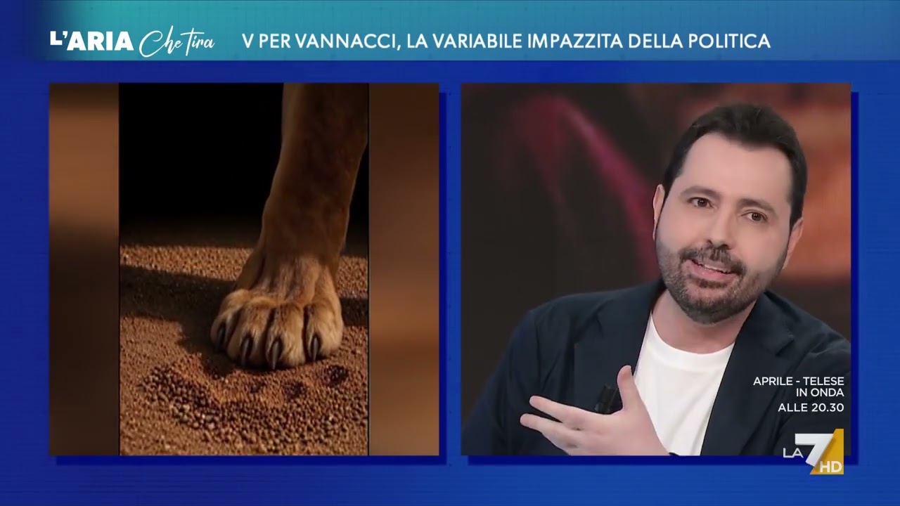 Vannacci e i video di intelligenza artificiale, Facciolo: "Ecco perché gli servono"