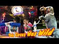 Having Fun At The Jordan World Circus