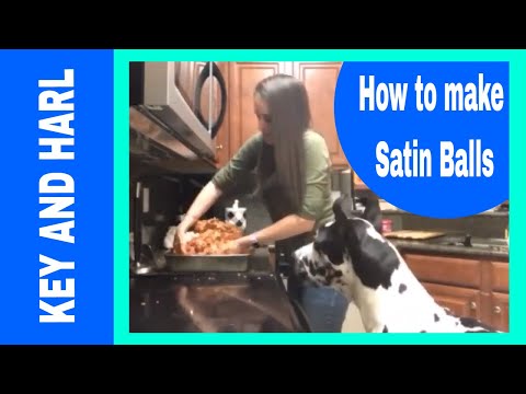 download lagu mp3 mp4 Grain Free Satin Balls, download lagu Grain Free Satin Balls gratis, unduh video klip Grain Free Satin Balls