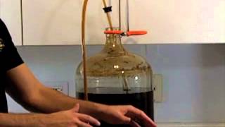 How To Use An Auto Siphon To Transfer Homebrew