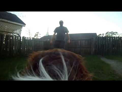 Thor plays fetch! Thorcam!