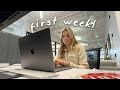 First Week At My New Job