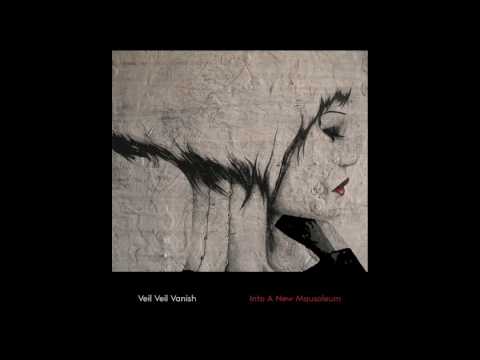 Veil Veil Vanish - Reproach