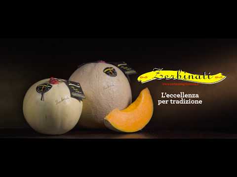 download lagu mp3 mp4 Jolly Melone, download lagu Jolly Melone gratis, unduh video klip Jolly Melone