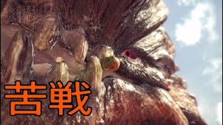 既存のモンスターに苦戦していくぅw【MHW実況】part 5