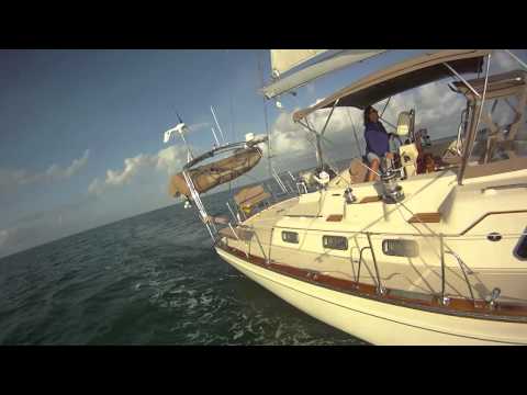Sailing Island Packet 485 Rula Bula Biscayne Bay New Years Day 2011