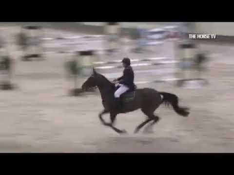 Erol Akbaş   Withney KBKK 110cm 11 02 2012